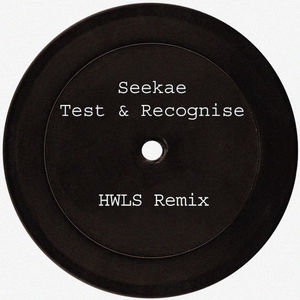 Test & Recognise (Remixes)