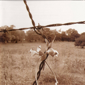 Twang On A Wire