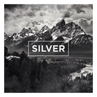 The Neighbourhood - Silver (CDS)
