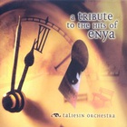 Taliesin Orchestra - A Tribute To The Hits Of Enya