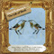David Rotheray - The Life Of Birds
