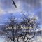 Garnet Rogers - Shining Thing