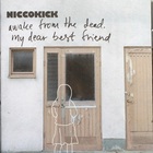 Niccokick - Awake From The Dead, My Dear Best Friend