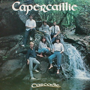 Cascade (Vinyl)