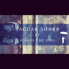 Icarus The Owl - Jaguar Shark (CDS)