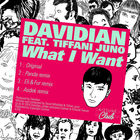 Davidian - What I Want (Feat. Tiffani Juno) (EP)