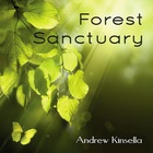Andrew Kinsella - Forest Sanctuary