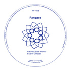 Pangaea - Bear Witness - Mosaix (CDS)