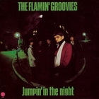The Flamin' Groovies - Jumpin' In The Night (Vinyl)