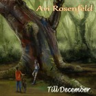 Avi Rosenfeld - Till December