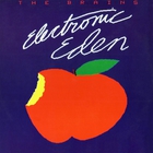 The Brains - Electronic Eden (Vinyl)