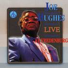 Joe "Guitar" Hughes - Live At Vredenburg CD1