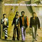 Greyhound - Black And White (Vinyl)