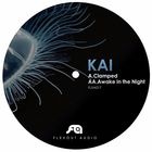 Kai - Clamped / Awake In The Night (CDS)