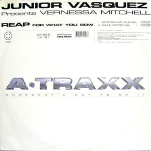 Reap (What You Sow) (Junior Vasquez Pres.) (VLS)