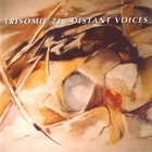 Trisomie 21 - Distant Voices
