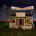 Paul Rishell & Annie Raines - A Night In Woodstock