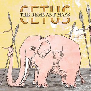 The Remnant Mass
