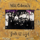 Wild Colonials - Fruit Of Life