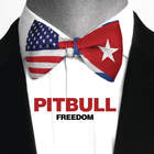 Pitbull - Freedom (CDS)