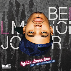 Lights Down Low (Feat. Waka Flocka Flame) (CDS)