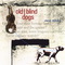 Old Blind Dogs - New Tricks