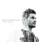 David Dunn - Have Everything (CDS)