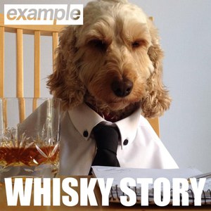 Whisky Story (CDS)