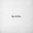 Majical Cloudz - Wait And See (EP)