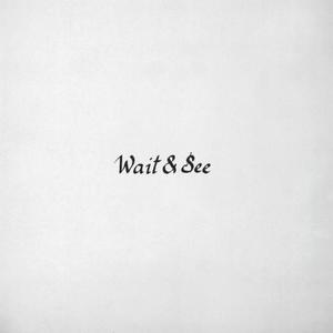 Wait And See (EP)