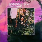 Deke Leonard - Kamikaze (Vinyl)