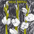 Mecca Normal - The First LP (Reissued 1995)