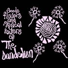 Seeds Flowers And Magical Powers Of The Dandelion