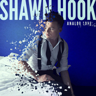Shawn Hook - Analog Love