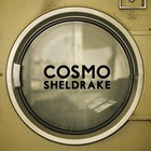 Cosmo Sheldrake - The Moss (CDS)