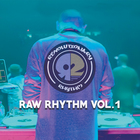 Raw Rhythm Vol. 1