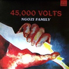 Ngozi Family - 45000 Volts (Vinyl)