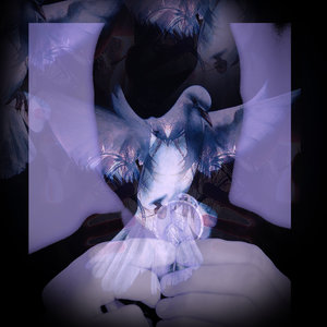 Beheld (With Qreepz)