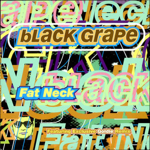 Fat Neck (CDS)