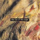 Dave Bainbridge & David Fitzgerald - The Eye Of The Eagle