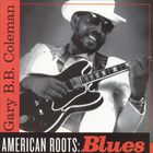 Gary B.B. Coleman - American Roots: Blues