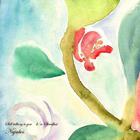 Nujabes - Still Talking To You & Steadfast (CDS)