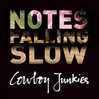Cowboy Junkies - Notes Falling Slow CD2