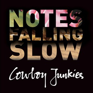 Notes Falling Slow CD3