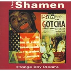 The Shamen - Strange Day Dreams