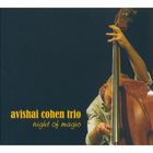 Avishai Cohen Trio - Night Of Magic (Live In Kiev)