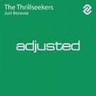 The thrillseekers - Just Because (CDS)