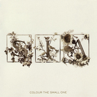 SIA - Colour The Small One (Deluxe Edition)