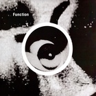 Function - Gradient (Vinyl)
