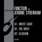 Function - White Light (Feat. Jerome Sydenham) (Vinyl)
